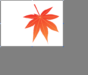 小さくなりました