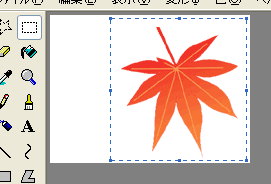 選ぶよ〜♪