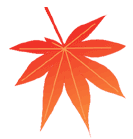 できあがり